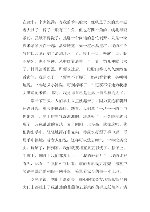 家乡的端午作文.docx