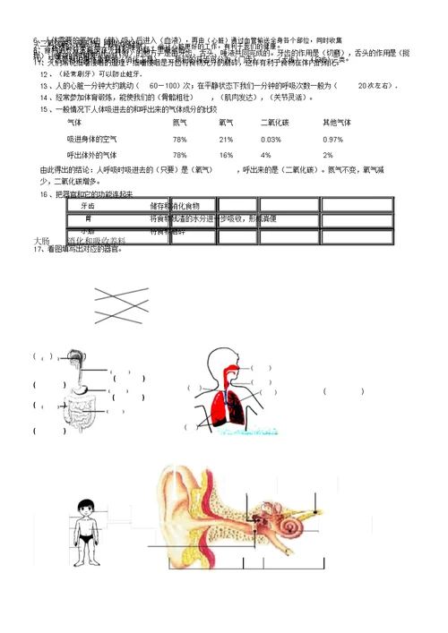 新教科四年级科学上册科学知识点全面