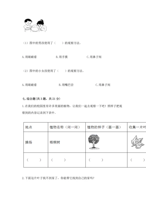 教科版科学一年级上册期末测试卷附参考答案【达标题】.docx