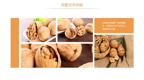 休闲美食美味坚果干果核桃宣传PPT模板