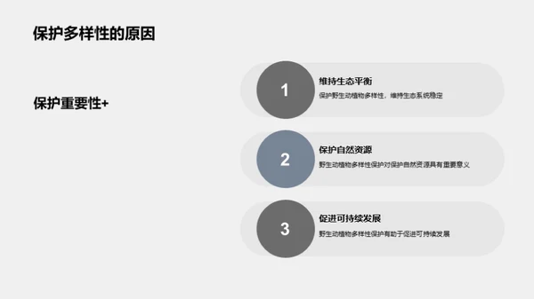 3D风其他行业教育活动PPT模板