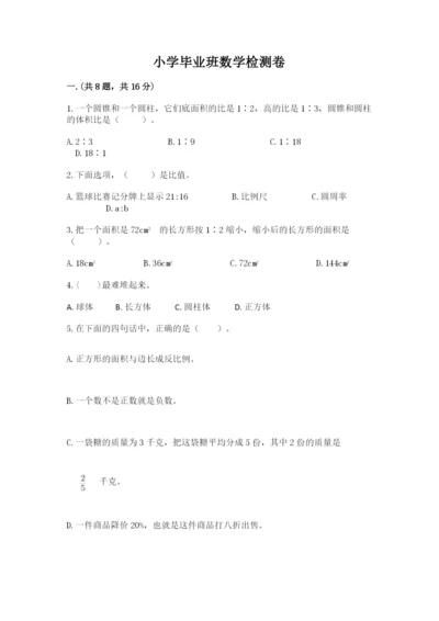 小学毕业班数学检测卷（突破训练）.docx