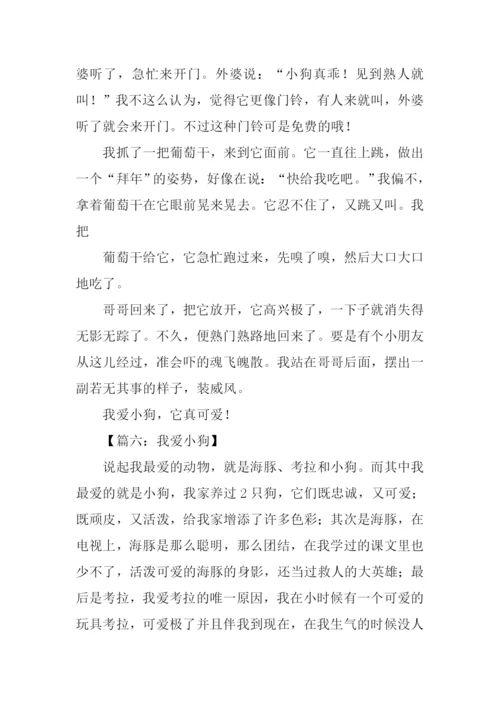 我爱小狗作文400字.docx