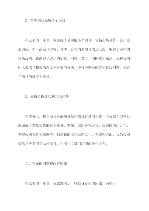 2017副职年度述职报告
