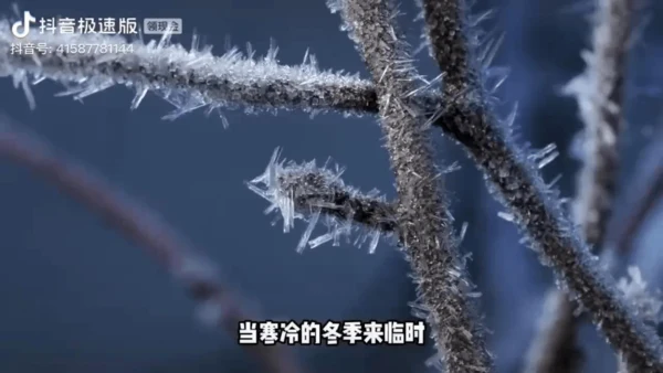 一上13 美丽的冬天  课件