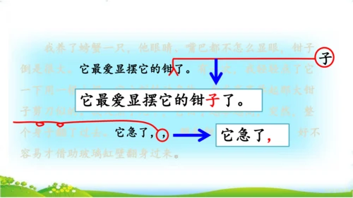 统编版语文三年级下册第四单元 《语文园地四》课件