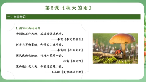 统编版2024三年级语文上册第二单元复习   课件