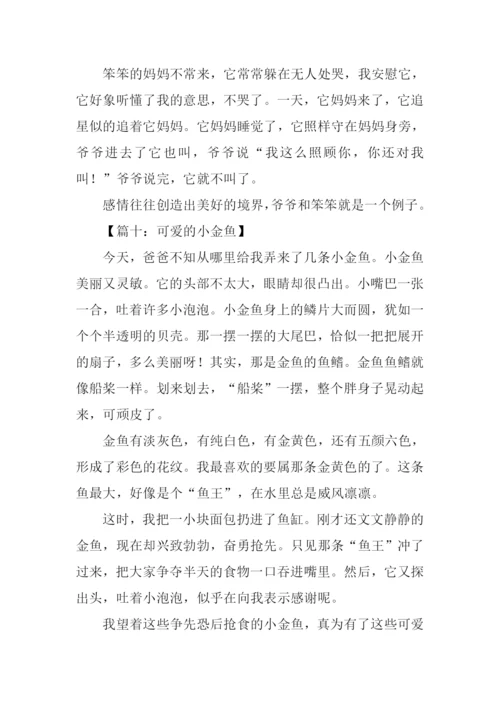 小动物作文350字.docx