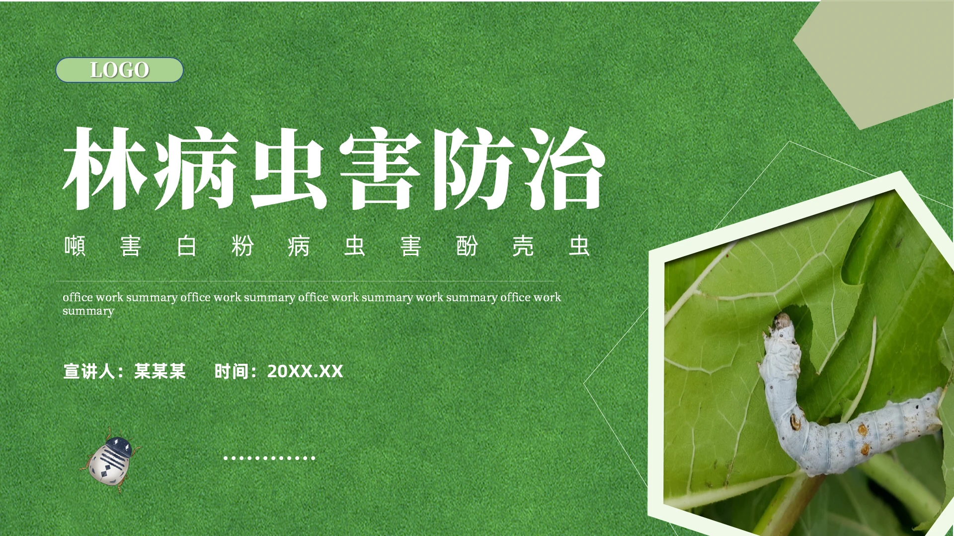 绿色微立体简约培训林病虫害防治ppt