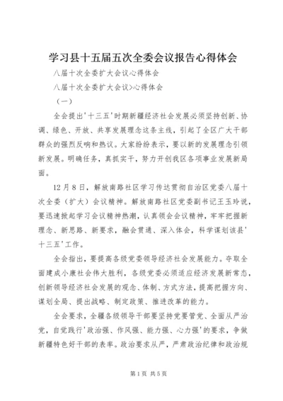 学习县十五届五次全委会议报告心得体会 (4).docx