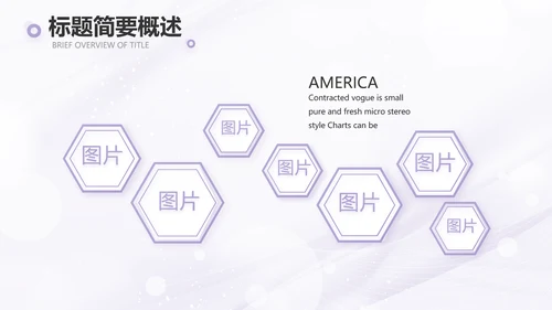 紫色梦幻医美商业计划书动态PPT