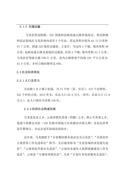 马龙县红石庄园建设项目可研报告.docx