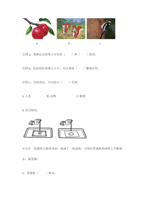 教科版二年级上册科学期末考试试卷含答案【轻巧夺冠】.docx