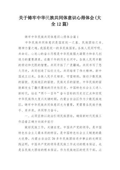 关于铸牢中华民族共同体意识心得体会(大全12篇).docx