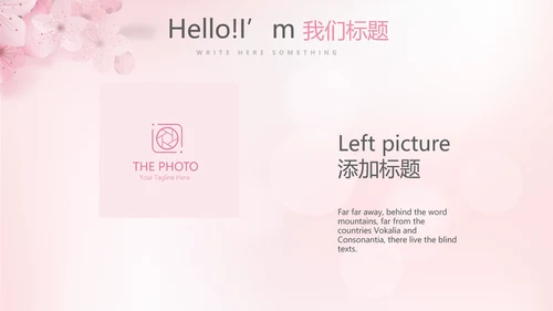 粉色唯美彩妆纹绣动态PPT