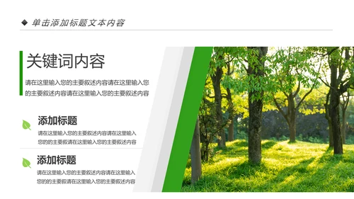 绿色生态森林湿地环境保护植树造林PPT模板