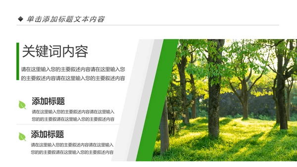 绿色生态森林湿地环境保护植树造林PPT模板
