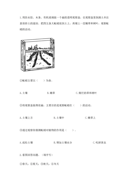 教科版小学二年级上册科学期末测试卷【综合卷】.docx