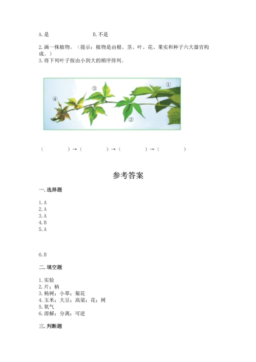 教科版科学一年级上册第一单元《植物》测试卷精品【精选题】.docx