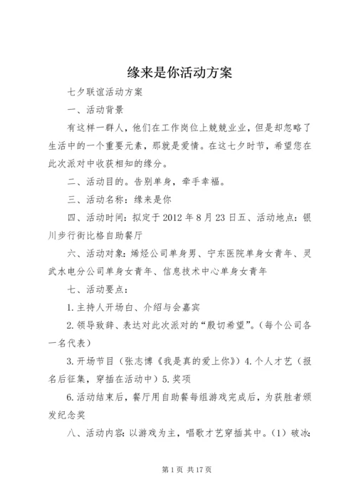 缘来是你活动方案.docx