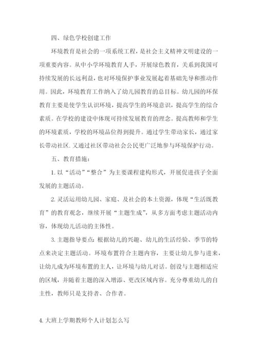 大班上学期教师个人计划怎么写.docx