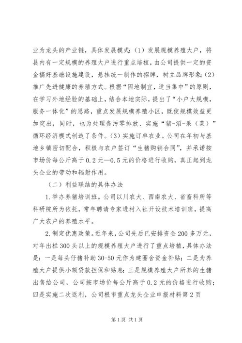 市重点龙头企业申报材料 (2).docx