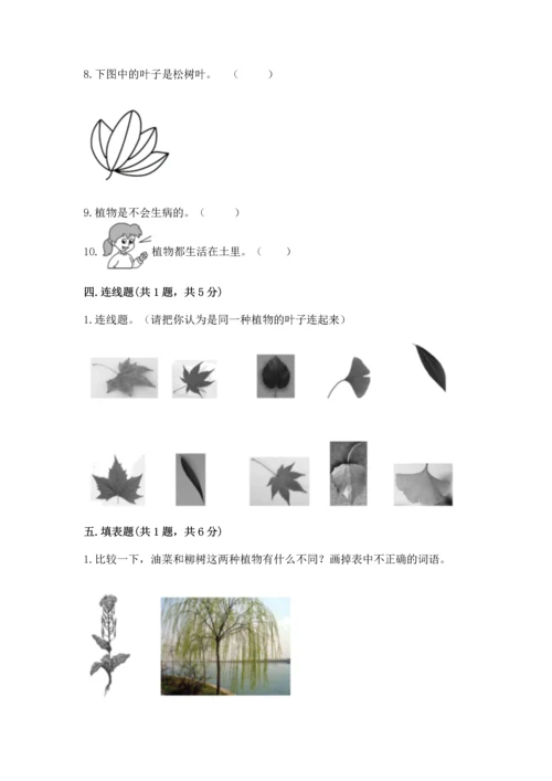 教科版一年级上册科学期末测试卷含完整答案（全国通用）.docx