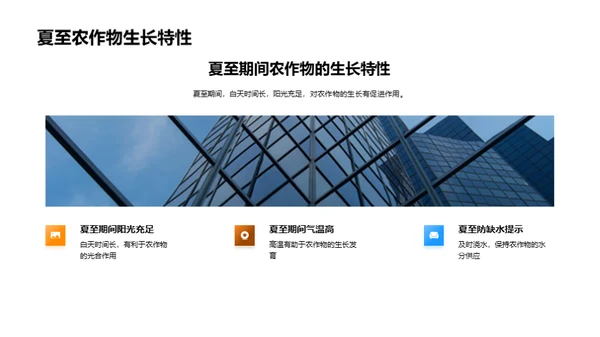 夏至农业策略