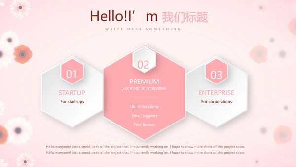 粉色精美好看的小花关爱女性生理健康动态PPT