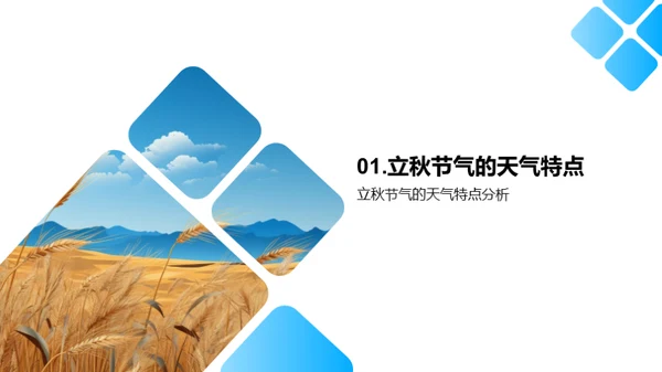 立秋农事之科学应对