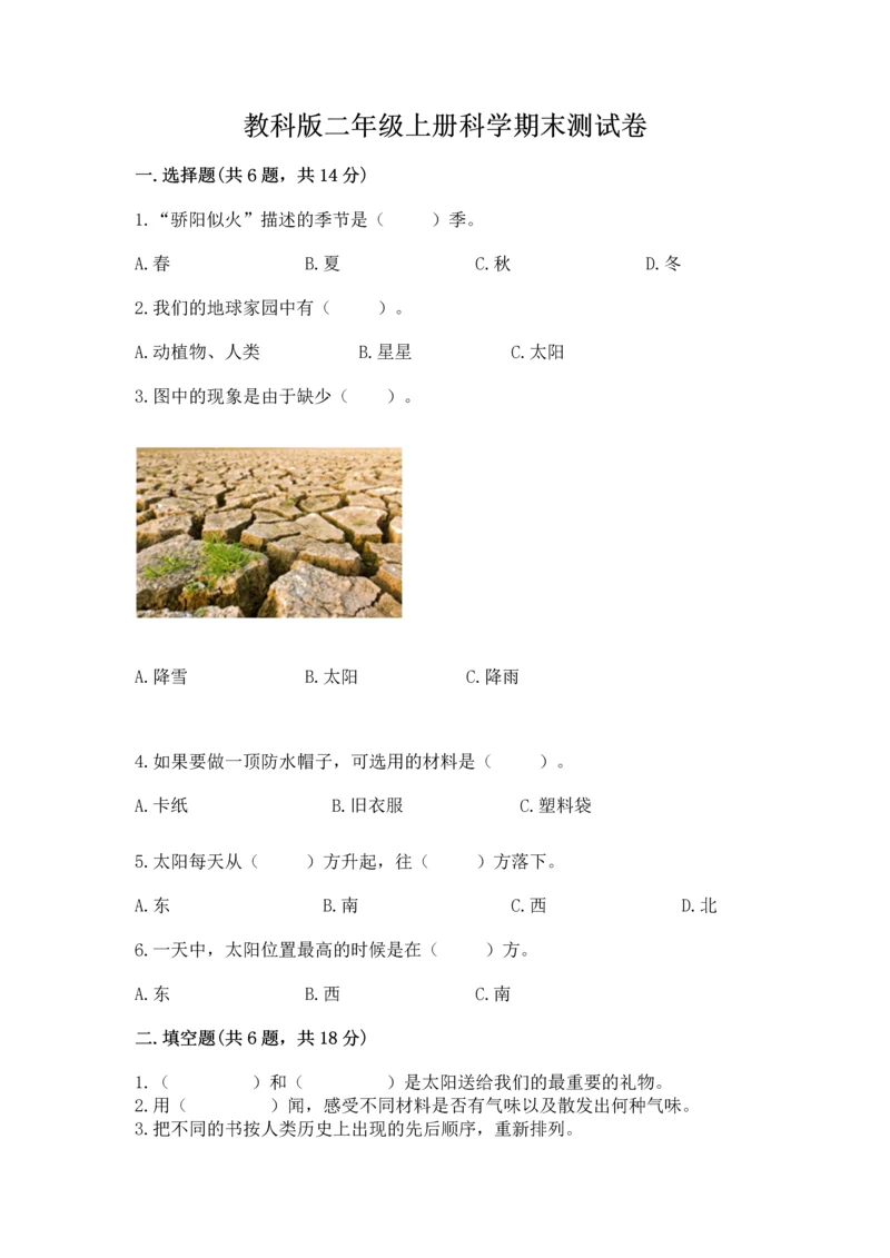 教科版二年级上册科学期末测试卷带答案(模拟题).docx