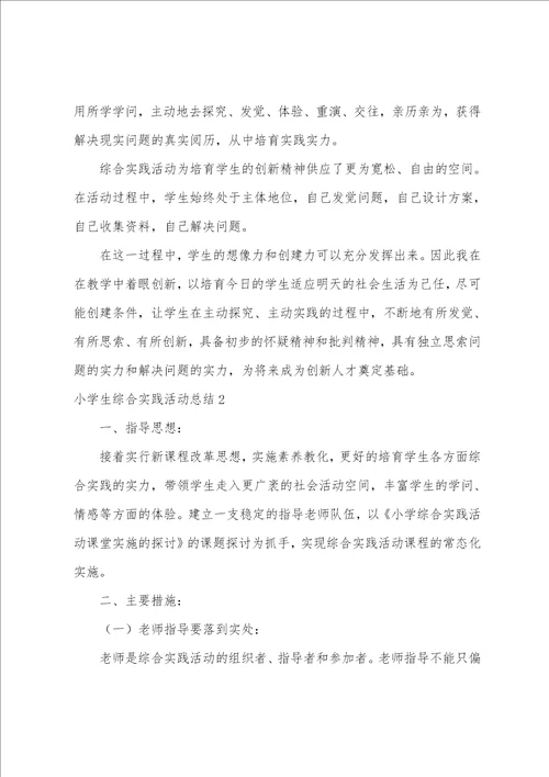 小学生综合实践活动总结