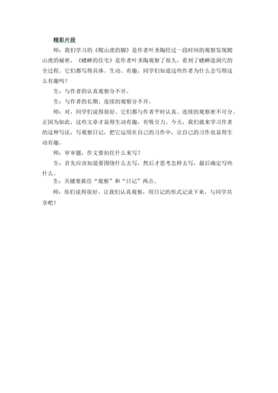 习作：写观察日记 精彩片段