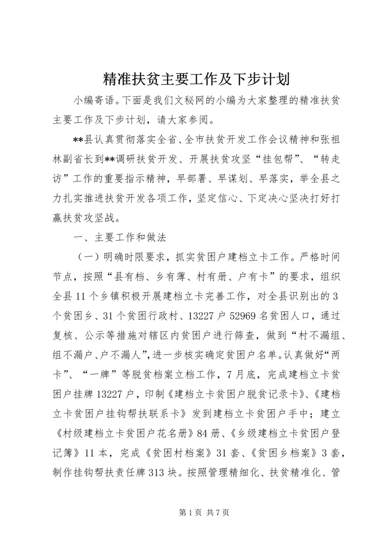 精准扶贫主要工作及下步计划.docx