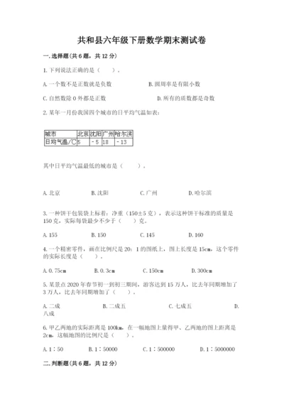 共和县六年级下册数学期末测试卷（夺分金卷）.docx