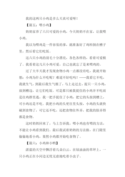 小鸡作文300字0.docx