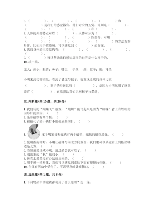教科版二年级下册科学知识点期末测试卷带答案（典型题）.docx