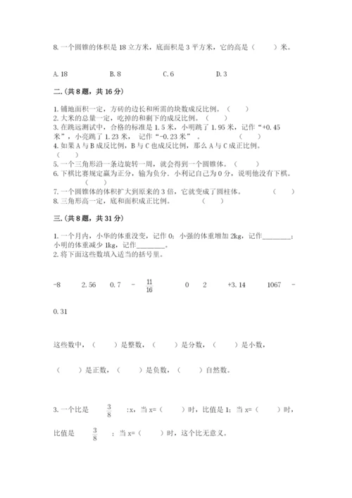 苏教版数学六年级下册试题期末模拟检测卷含完整答案【有一套】.docx