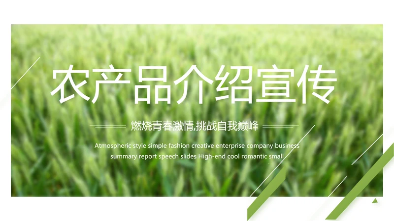 绿色农产品介绍宣传动态PPT模板
