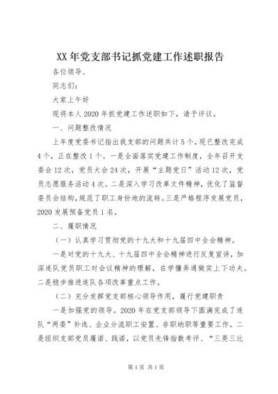 XX年党支部书记抓党建工作述职报告.docx