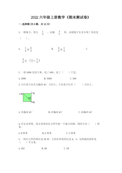 2022六年级上册数学《期末测试卷》附完整答案【典优】.docx