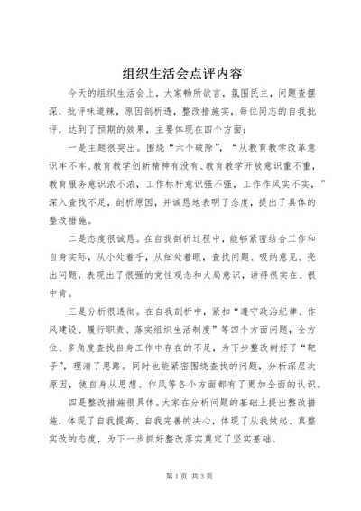 组织生活会点评内容.docx