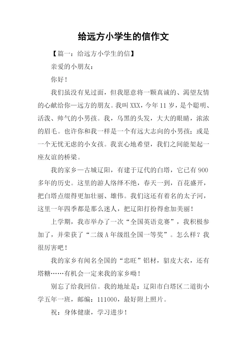 给远方小学生的信作文.docx