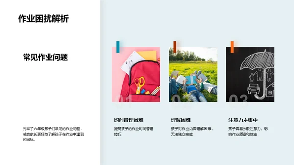 六年级学习解析