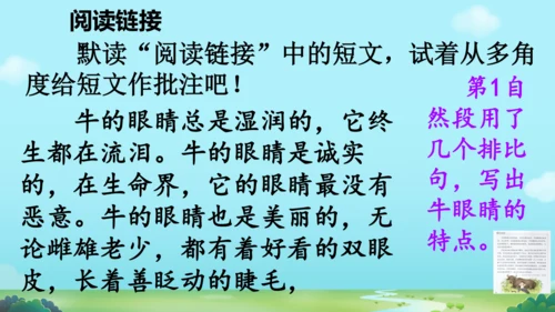18 牛和鹅   课件