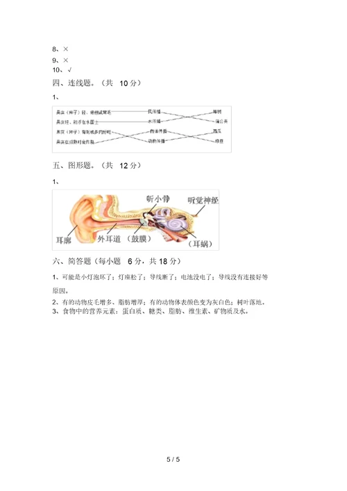 新教科版四年级科学上册期末考试(A4打印版)