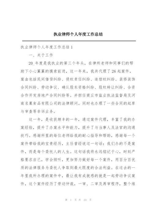 执业律师个人年度工作总结.docx