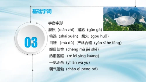 八年级语文上册第二单元 单元整体教学 天上有颗南仁东星 课件(共29张PPT)