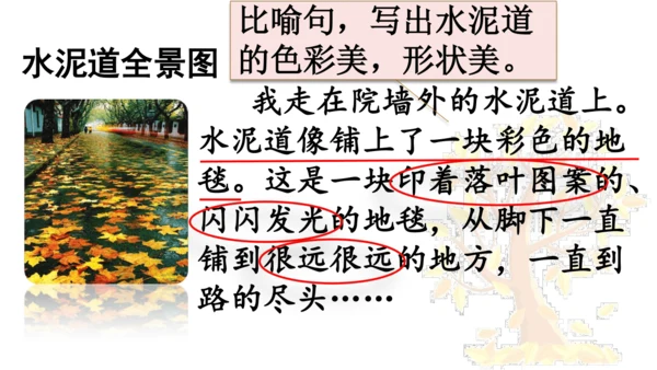 5 铺满金色巴掌的水泥道