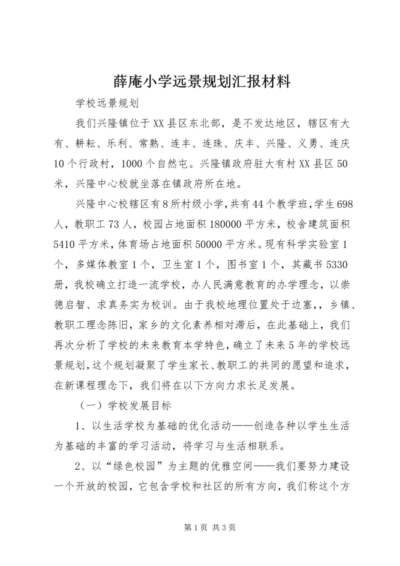 薛庵小学远景规划汇报材料 (3).docx